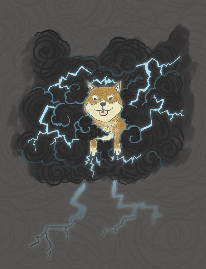 shiba storm illustration